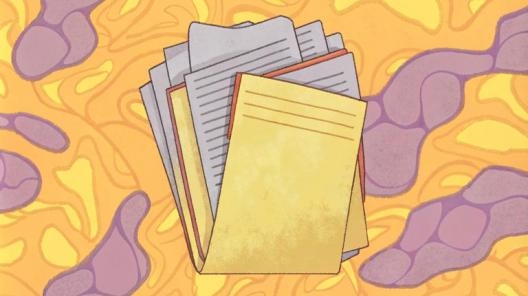 Обеспечительные меры по спорам, связанным с нарушением исключительных прав правообладателя